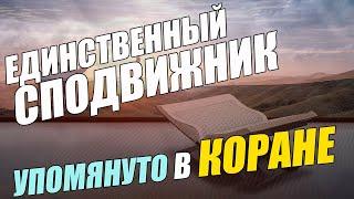 Единственный сподвижник, чьё имя упомянуто в Коране \ Исламдаг.ру