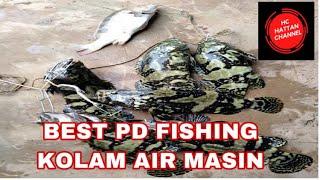 BEST PD FISHING