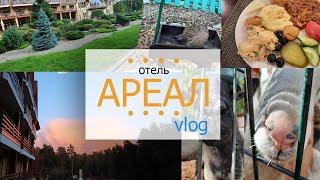 Осенний Vlog из отелей | ЧАСТЬ 1 | конгресс - отель АРЕАЛ