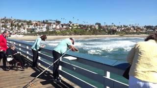 San Clemente Pier Fisherman Catches Leopard Shark