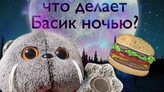 ЧТО ДЕЛАЕТ БАСИК НОЧЬЮ ?