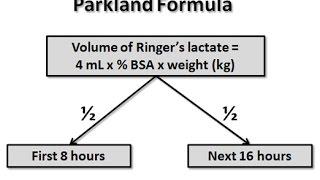 Parkland Formula for Burns