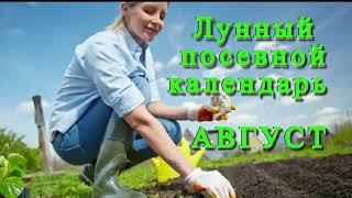 Лунный посевной календарь на август