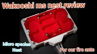 WAKOOSHI MS NEST REVIEW (micro species nest)