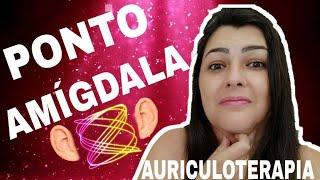  Auriculoterapia Pontos - Amigdala | Entendendo Auriculoterapia