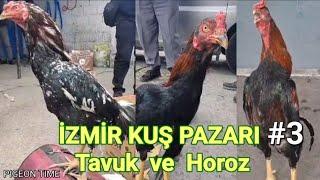 İzmir Kuş Pazarı Tavuk ve Horoz Fiyatları #3... #tavuk #horoz #civciv #izmirkuşpazarı #kuşpazarı