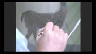 Painting Fur with Jerry Yarnell