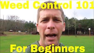 Weed Control 101 -  How to Control Weeds in the Lawn for Beginners