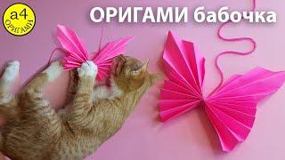 Оригами бабочка   Как сделать бабочку из бумаги Paper Butterfly  How to make paper butterfly origami