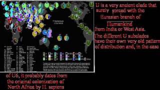 Haplogroup E (Y-DNA), and North African Genetics