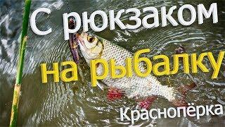 Русская Рыбалка Installsoft Edition 3.7.6 Италия - КВ: Краснопёрка