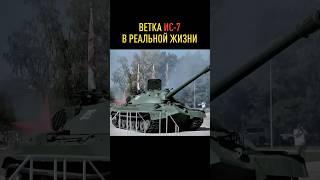 Ветка ИС-7 в реальной жизни. Делаем про Maus? #миртанков #танки