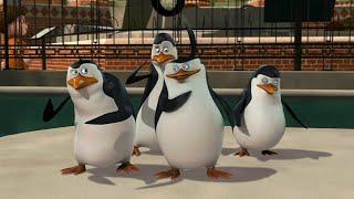 YOU NEED TO SEE PENGUINS OF MADAGASCAR MEGAMIX REMIX