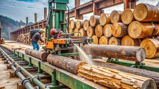 Amazing Fastest Large Wood Sawmill Machines Working, Modern Operated Sawmills in The Country