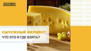 Все про сычужный фермент для приготовления домашнего сыра