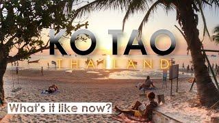 Ko Tao, Thailand  - What's it Like Now? Watch Before You Go | Thailand Travel