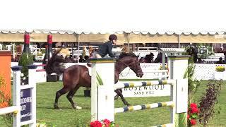 332 -  Caroline Bell - Boomerang