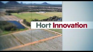 Hort Innovation - Growers 2022