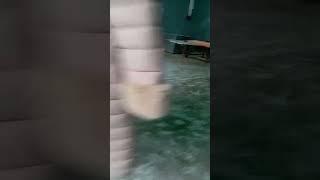 @Xiva bozor @Хива Бозор 2024