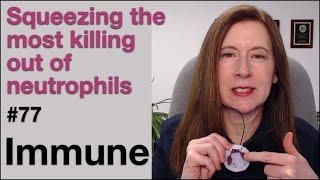Immune 77: Squeezing the most killing out of neutrophils