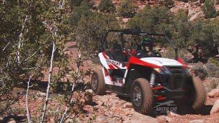 Arctic Cat Wildcat Trail Review