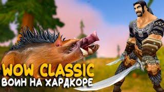 World of Warcraft Classic - Новый воин будет лучше старого! (вторая часть)