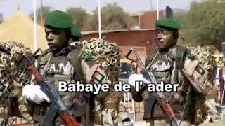 force armée Niger tilia