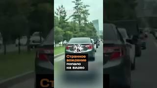 Странное вождение попало на видео#новости#вождение#видео#алматы#водитель#город#трасса#полиция