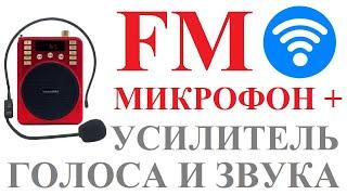 КАК СОЕДИНИТЬ  БЕСПРОВОДНОЙ FM МИКРОФОН  С УСИЛИТЕЛЕМ ГОЛОСА  ССЫЛКА НА ТОВАР // Кабанчик24