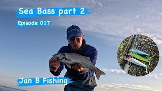 Sea Bass fishing. (part 2) Episode 017.