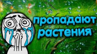 Пропадают аквариумные растения. Удобрение для аквариумных растений.