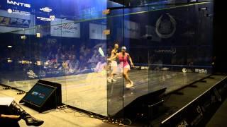 Laura Massaro v Sarah Kippax Squash Rally Allam British Open Quarter Finals 2014