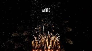 BON ANNIVERSAIRE AYBEK !