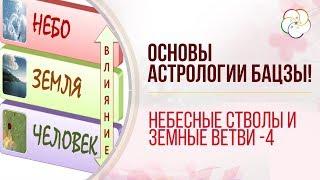 Полный анализ карты Бацзы для начинающих. Расшифровка небесные стволы и земные ветви в карте Бацзы/4