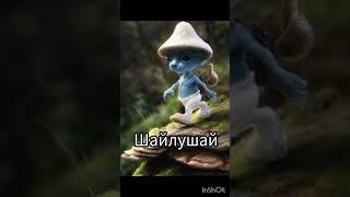 шайлушай