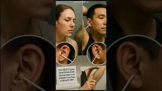 The Strange Gene That Links Your Earwax Type to Your Body Odor