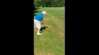 majek golf clubs