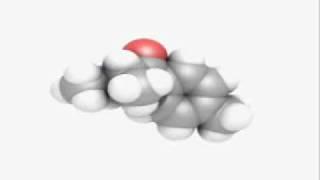 The effects of  Mephedrone