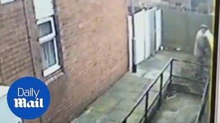 CCTV caught UKIP canvasser urinating on elderly woman's fence - Daily Mail