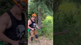 Epic fail #funny #memes #lifehacks #chainsaw #truccovita #gardening #cut #wood