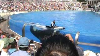 mui seaworld7