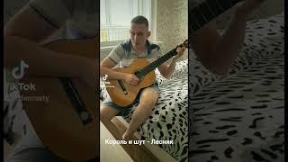 Король и шут - Лесник(guitar cover)