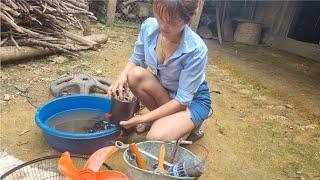 Genius girl repairs and maintains electric fans for poor farmers