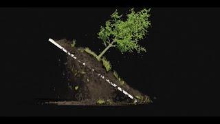 Houdini 16.5 Tree/Soil Wedges