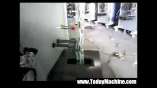 special shape bag form fill seal packing machine TodayMachine~2