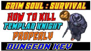 【Grim Soul: Dark Fantasy Survival】 How To Properly Kill Templar Knight Or Damned Knight Without Kill