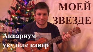 Антон Мизонов - Моей Звезде (Аквариум укулеле кавер)