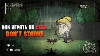 Как играть в Don't Starve Together по сети через hamachi. Как настроить ?