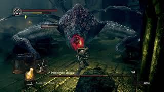 Dark Souls 1, Как убить Разверстого дракона