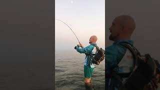 Рокфишинг на Красном море. Морская рыбалка. Rockfishing in the Red Sea.  Sea fishing. #shorts